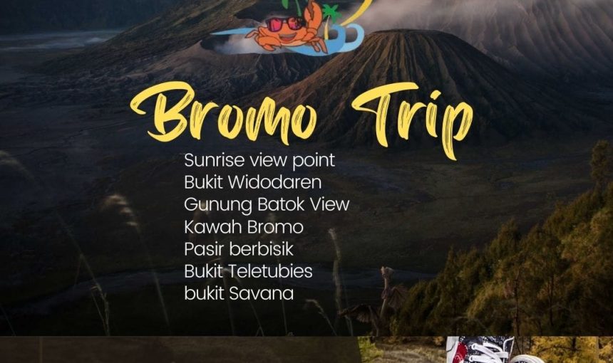 Bromo The Beauty